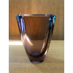 Václav Hanuš Rudolfova vaas